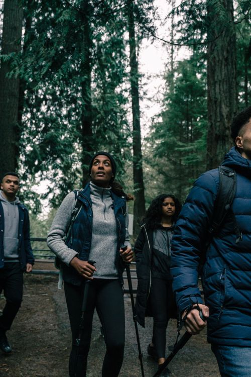 Free A group of friends hiking together in a lush forest, enjoying an adventurous outdoor activity. Stock Photo