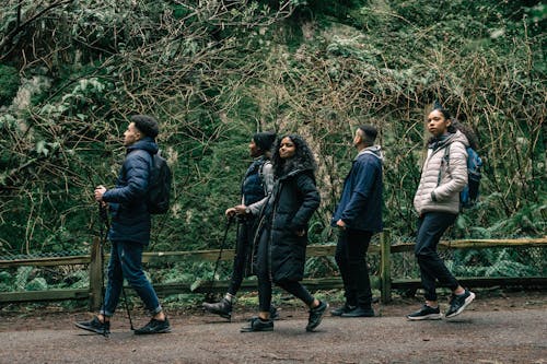 People Hiking in a Forest