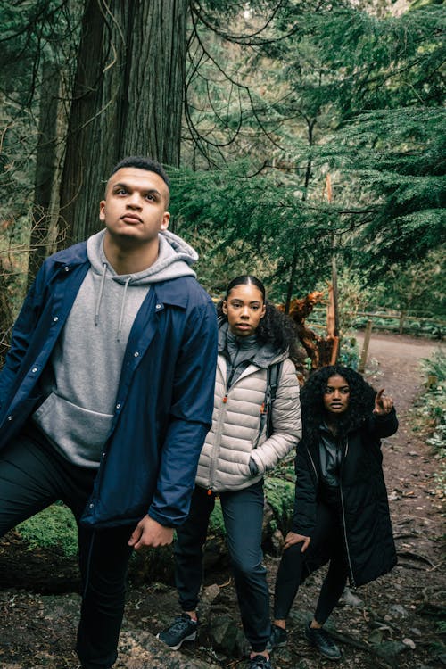 People Hiking in a Forest