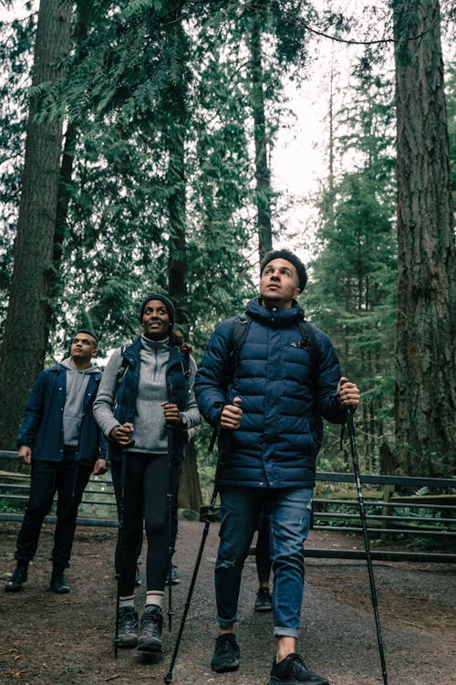 People Hiking in a Forest