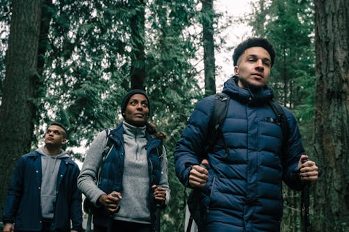 People Hiking in a Forest