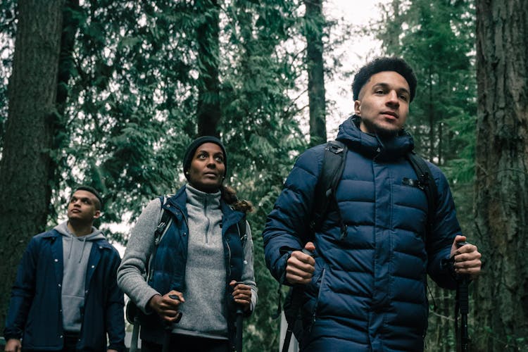 People Hiking In A Forest