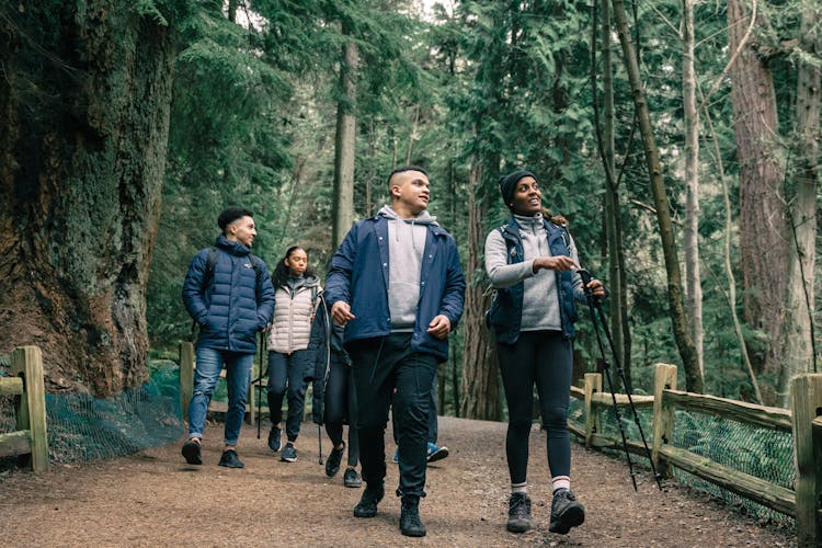 People Hiking In A Forest