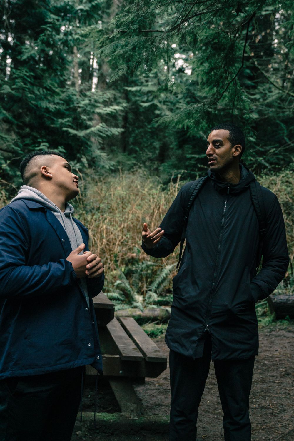 Two Men Talking to Each Other · Free Stock Photo