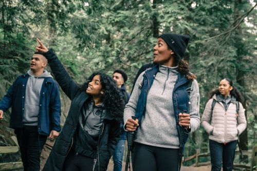 Free Friends hiking in a lush forest, exploring nature and enjoying the outdoors with trekking poles. Stock Photo