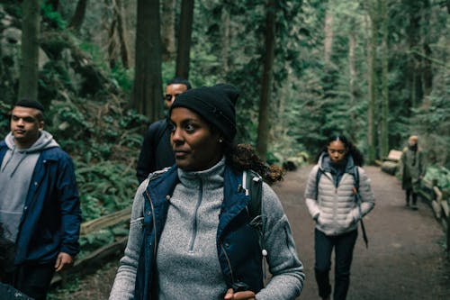 People Hiking in a Forest