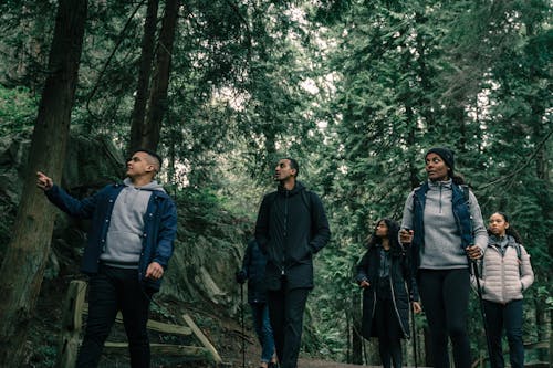 People Hiking in a Forest