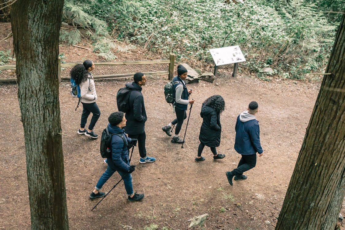 Free A group of friends enjoying a leisurely hike through a serene forest trail. Stock Photo
