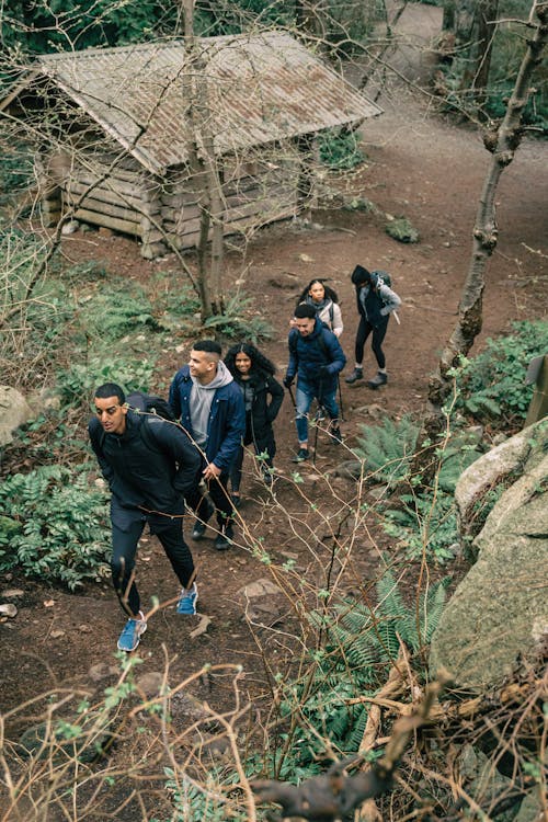 People Hiking in a Forest