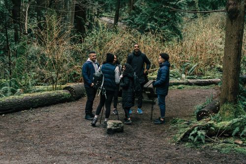 Free A group of friends enjoy a hiking trip in a lush forest, perfect for outdoor leisure. Stock Photo