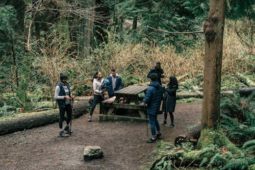 People Resting on a Picnic Table