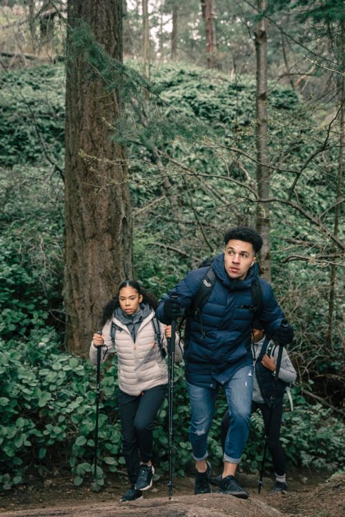 Free A diverse group of friends hiking through a lush forest trail with trekking poles. Stock Photo