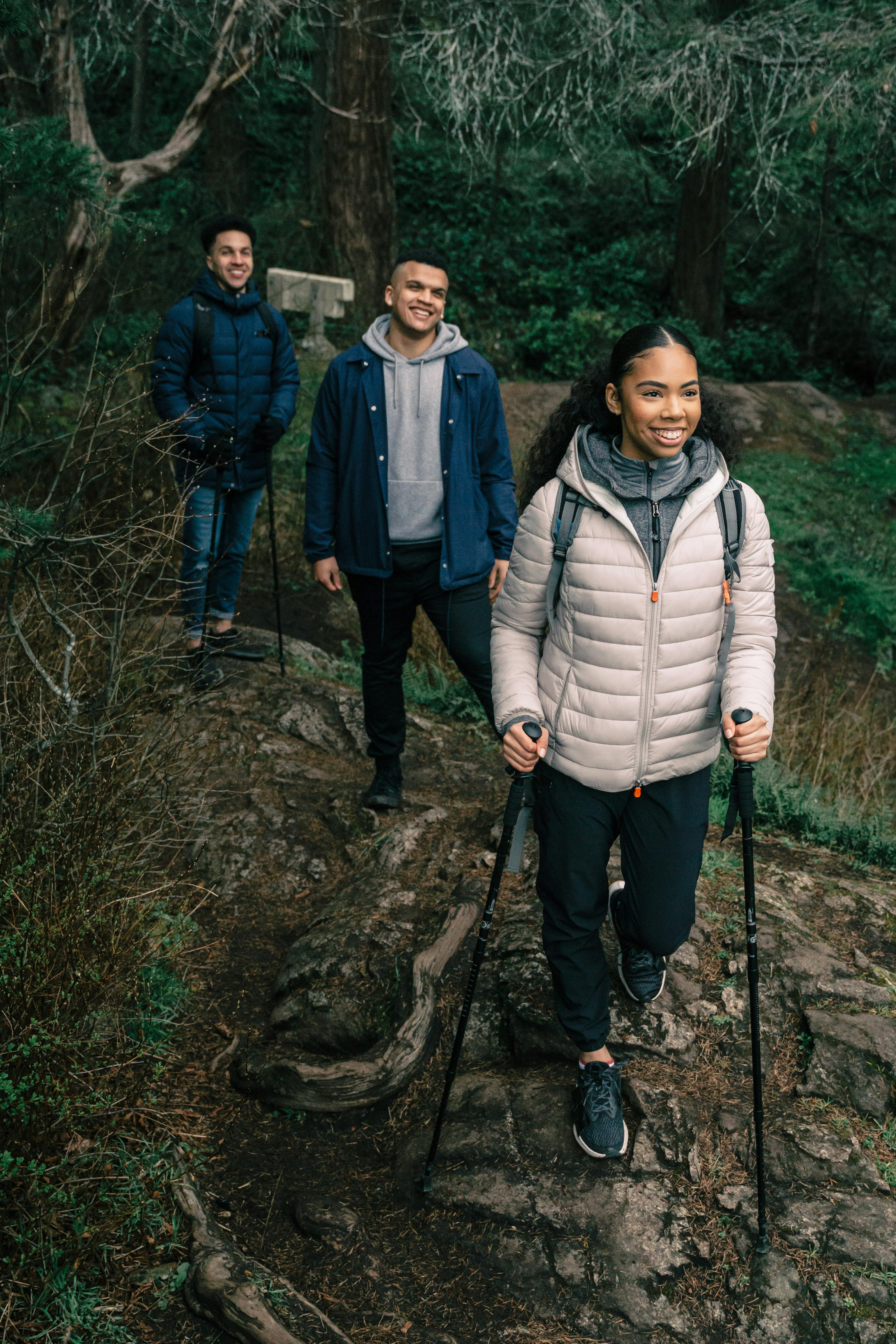 People Hiking in a Forest Free Stock Photo