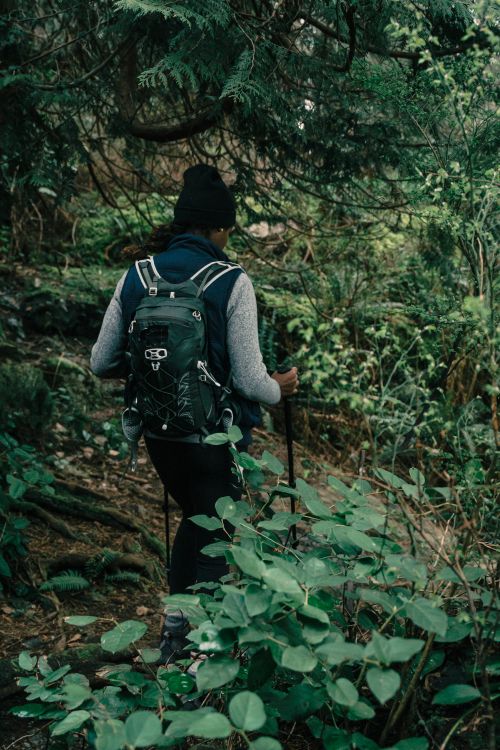 Free A woman hikes through a lush forest trail, embracing adventure and nature. Stock Photo