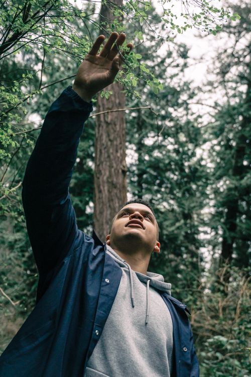 Foto de stock gratuita sobre adulto joven, al aire libre, alcanzando ...
