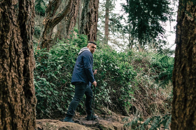 Man Hiking In A Forest