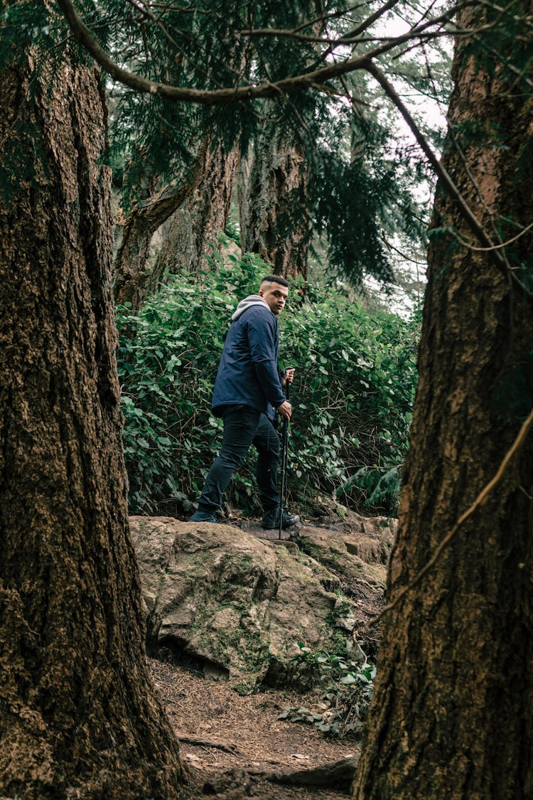 Man Hiking In A Forest