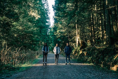 Free People Standing on a Forest Road Stock Photo