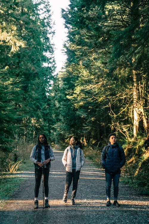 People Standing on a Forest Road