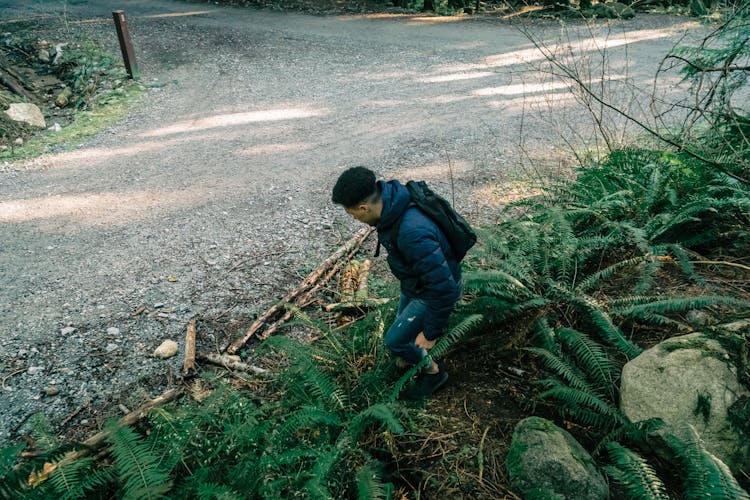 A Man Hiking In A Forest