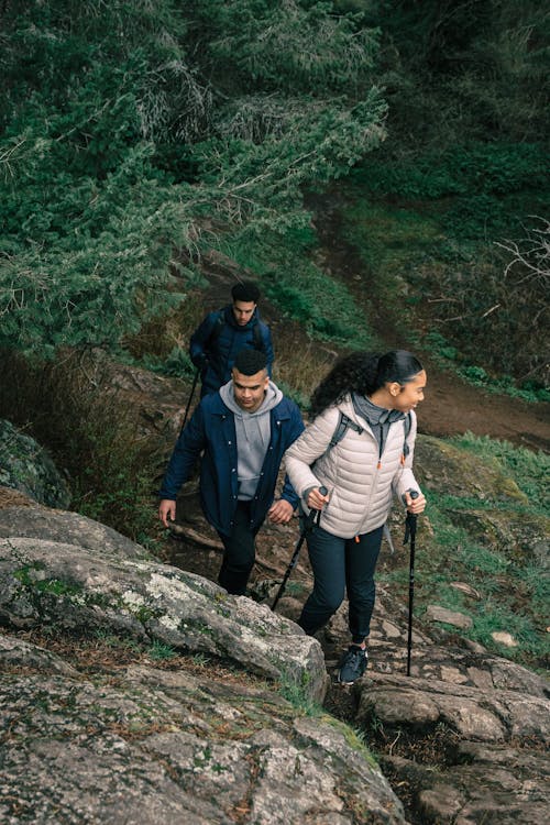 People Hiking in a Forest