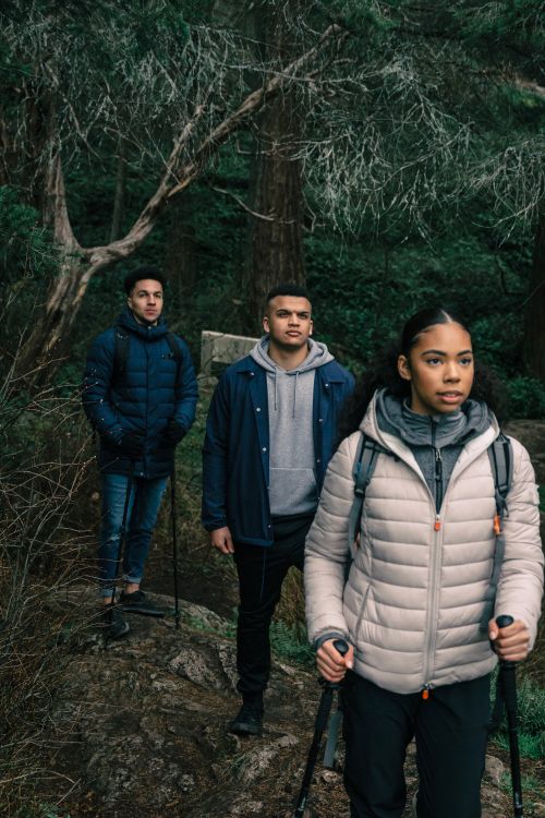 Free Group of young adults hiking in a dense forest, embracing nature and adventure. Stock Photo