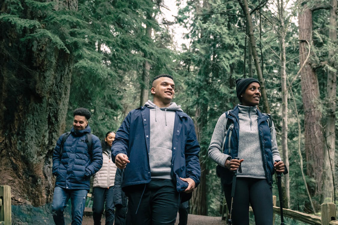 People Hiking in a Forest