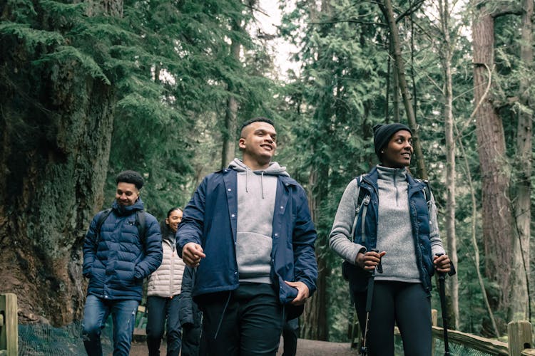 People Hiking In A Forest