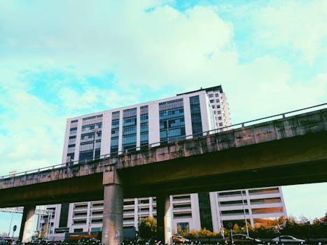 现代化的城市景观中，高架公路与当代建筑交相辉映