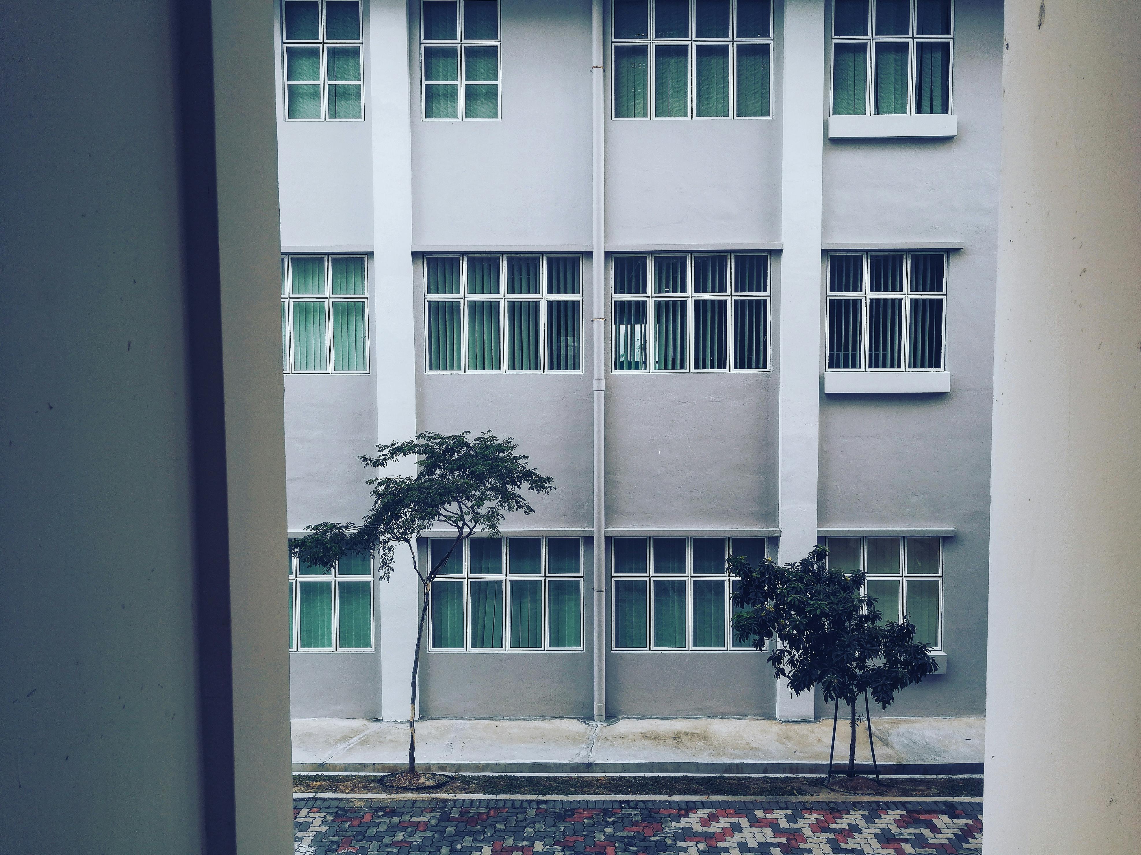 这座现代建筑外观对称，窗户排列整齐，设计风格简约