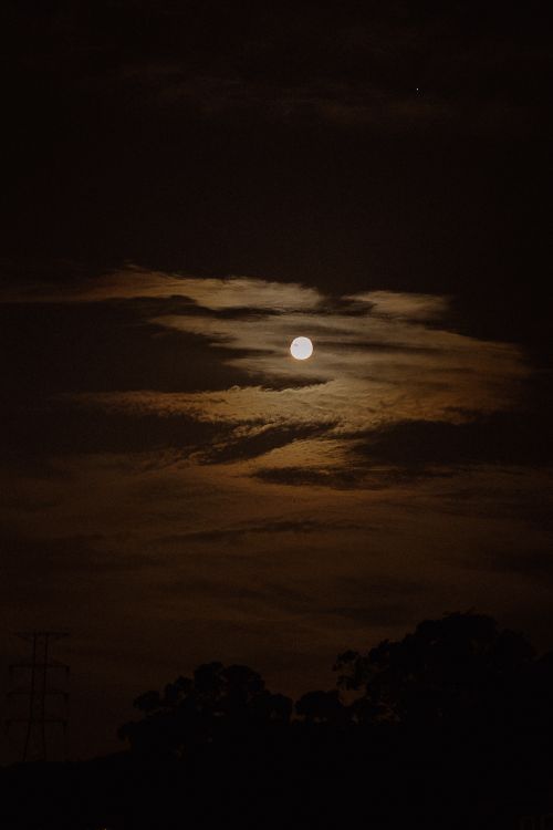 Free A captivating view of a full moon surrounded by ethereal clouds in a dark night sky. Stock Photo
