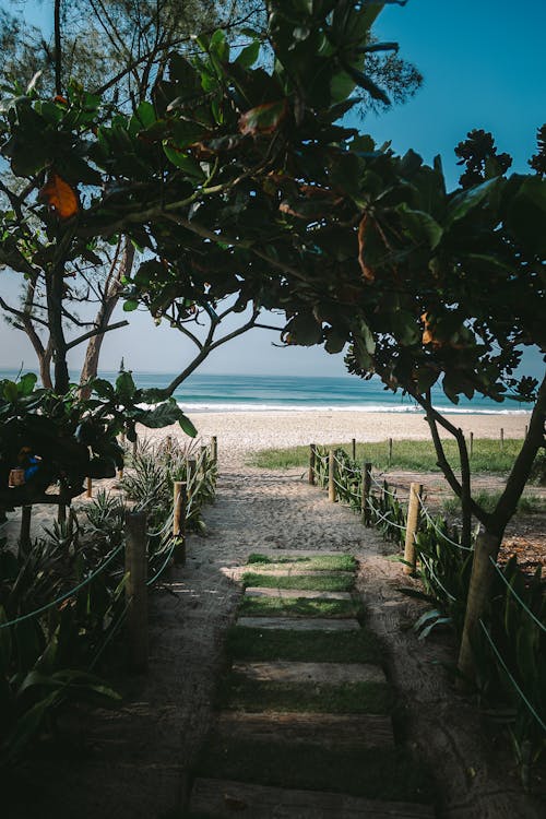 güneşli gün, plaj, plaj manzarası içeren Ücretsiz stok fotoğraf