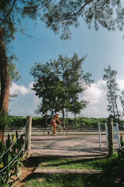 台中綠空自行車道:親近自然的絕佳休閒路線 台中綠空自行車道:親近自然的絕佳休閒路線