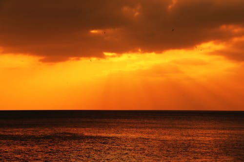 Безкоштовне стокове фото на тему «горизонт, заграва, Захід сонця» стокове фото
