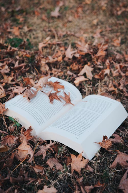 A Book on the grass