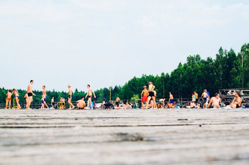 수영장, 여름의 무료 스톡 사진