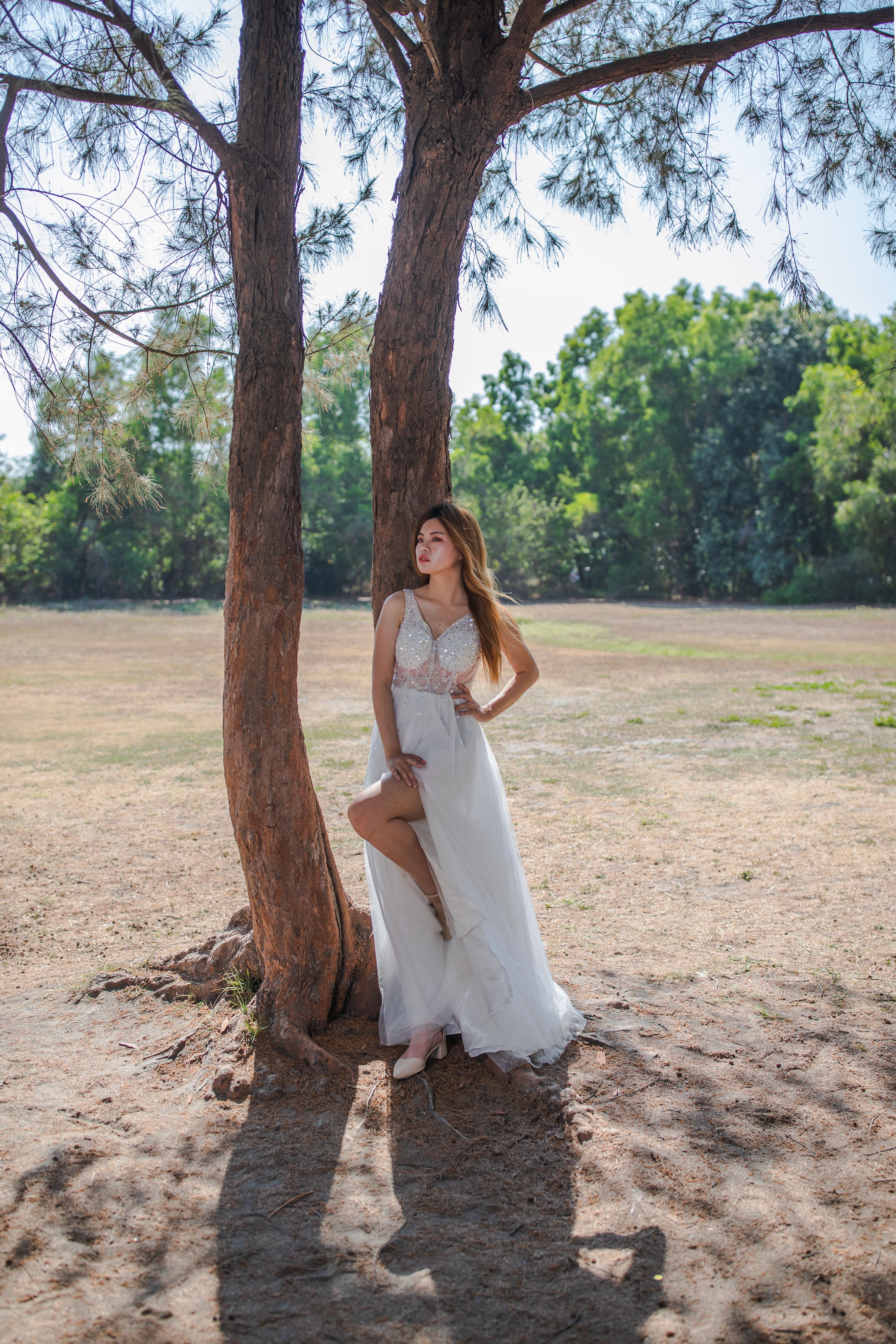 Woman in White Sleeveless Dress Standing Beside Brown Tree · Free Stock ...