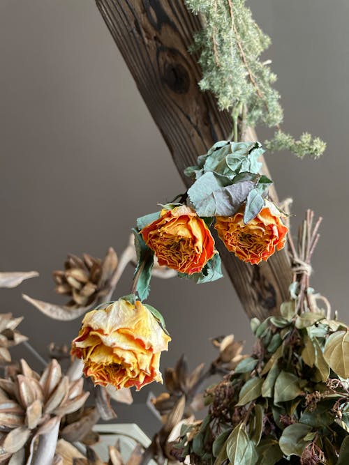 Composition with Dried Flowers