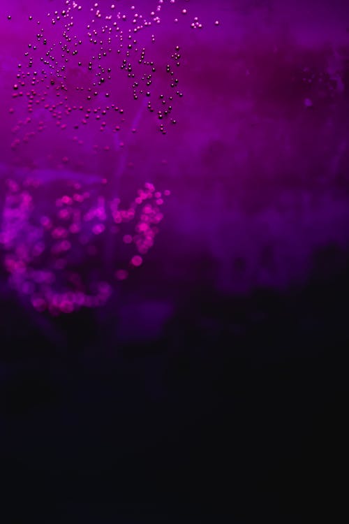 Close-Up Shot of Purple Liquid with Bubbles · Free Stock Photo