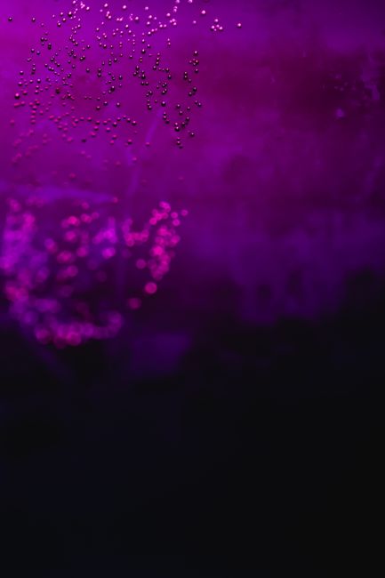 Close-up of vibrant purple liquid with delicate bubbles suspended in it.