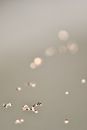 Glitters on Water Surface