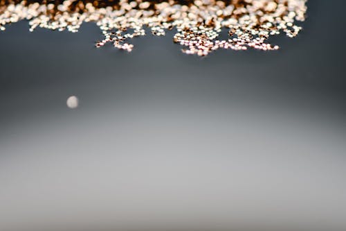 Fotobanka s bezplatnými fotkami na tému abstraktný, bity, bokeh