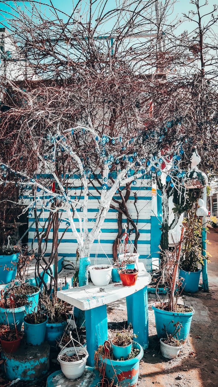 Trees And Plants In Yard 