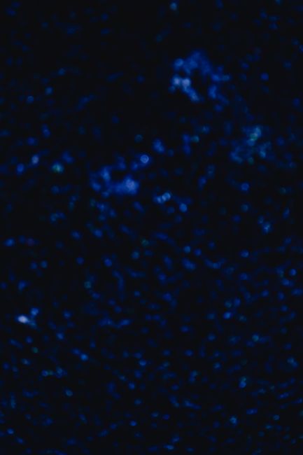 An abstract dark blue cosmic pattern resembling a starry night sky.