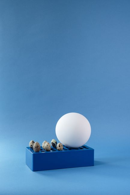 A large white egg and smaller quail eggs on a blue stand against a blue backdrop.