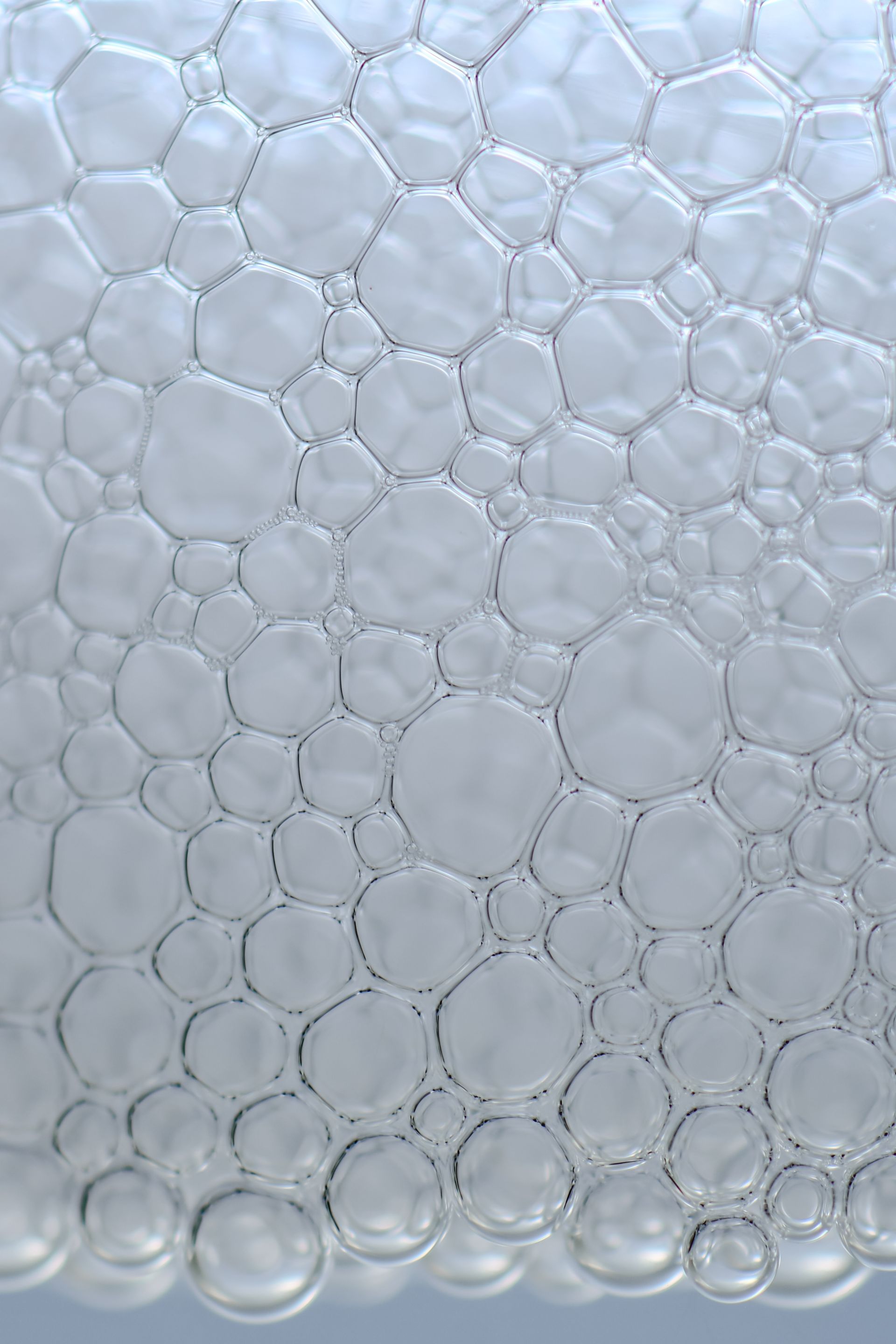 Aminos&auml;uren & Peptide