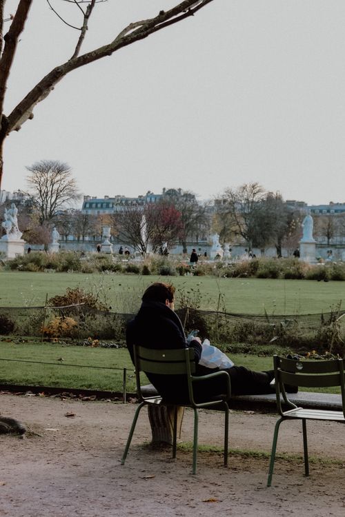Free A tranquil scene of a man sitting on a park bench surrounded by greenery and autumn foliage. Stock Photo