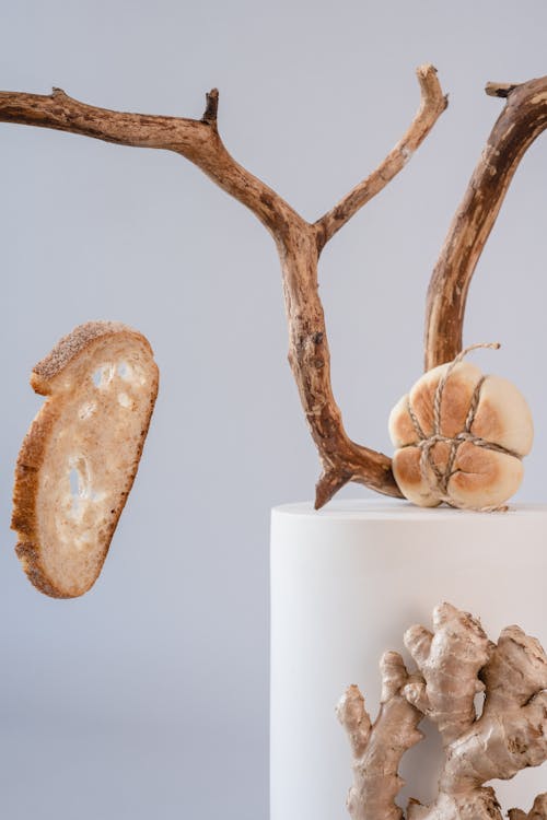 Brown Bread Beside Brown Tree Branch