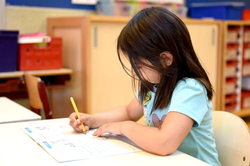 Gratis stockfoto met blauw shirt, boek, educatie