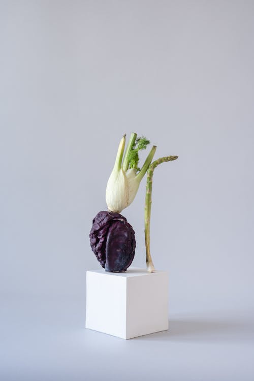 Free Vegetables on Top of the Square Stock Photo